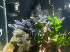 -太平洋海底世界