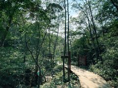 -大岭沟猕猴桃谷风景区