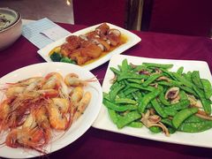 羅氏蝦-金苑海鲜酒家(新港中路店)