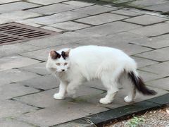 -大钟寺古钟博物馆