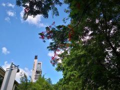 -九龙公园