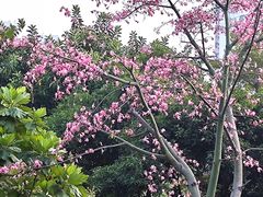 -晓港公园
