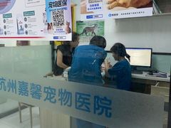 -嘉馨宠物医院·CT影像转诊·心脏科·犬猫全科诊疗中心(下沙大学城院区)