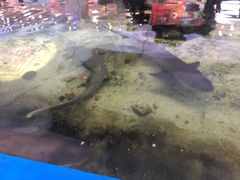 -鸿通城购物中心