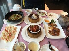 -楚灶王(徐东店)