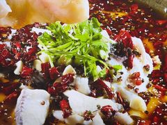 -秦巴石锅鱼(文化南路店)