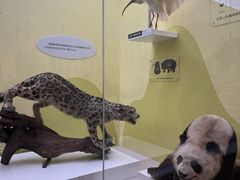 -国家自然博物馆