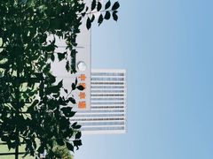 -中粮丰通（北京)食品有限公司