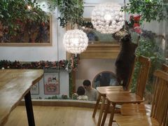 -藦茜花园宠物主题亲子互动体验馆(国顺东路店)