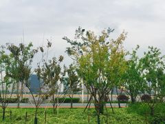 -钱塘江大桥
