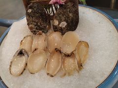 -喜聚薈·花膠雞海鮮火鍋(越秀店)