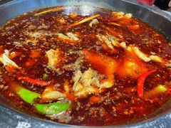 -蜀滋香鲜鱼美蛙火锅(339店)