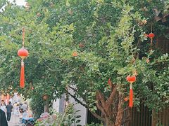-鲤院·新中式美学·庭院餐厅(夫子庙店)