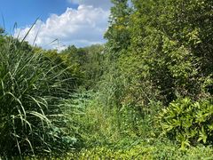 -昆山城市生态森林公园