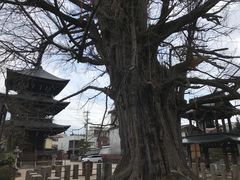 -医王山·飞騨国分寺