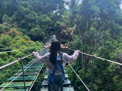 -海南槟榔谷黎苗文化旅游区