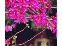 -西安市广仁寺