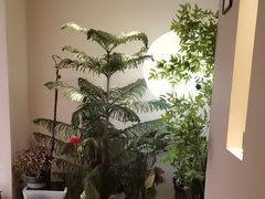 -Lazy Time Massage南亚按摩小馆(大悦城店)