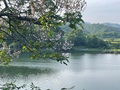 -婺源月亮湾
