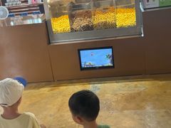 -三亚亚龙湾红树林度假酒店