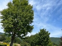 -国家植物园南园