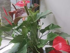 -章氏(广粤路店)