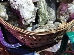 -蚝堡海鲜·威海菜·海肠捞饭·烧烤·亚洲吃蚝公司(幸福门店)