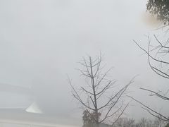 -习家池