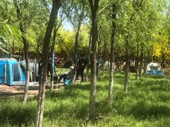 -西青郊野公园