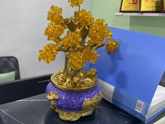 -大班家政月嫂育儿嫂(深圳NO.1店)