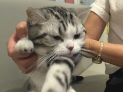 -小时光咖啡馆(开森度假森林店)