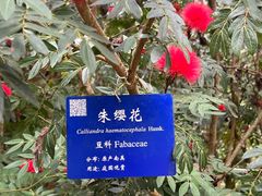 -中国科学院西双版纳热带植物园