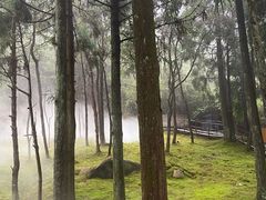 -玉苍山国家森林公园