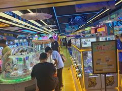 -风云再起游乐汇(北京西单西西友谊店)