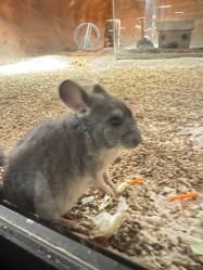 -酷嗒动物文化乐园(cutezoo西溪乐天城店)