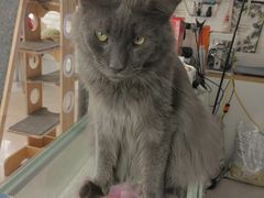 -平行世界·猫咖(首经贸店)