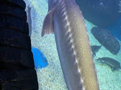 -多彩贵州城极地海洋世界