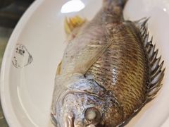 -吴记富苑(朝阳店)