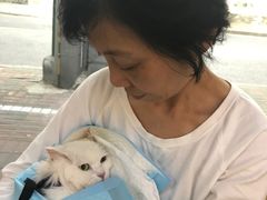 -满记甜品(日月光二店)