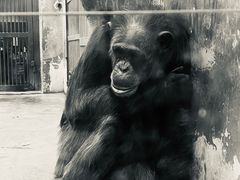 -石家庄市动物园