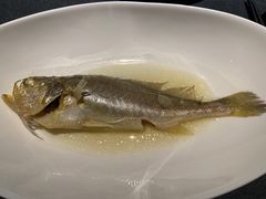 油盐水蒸中黄鱼-广舟(千禧店)