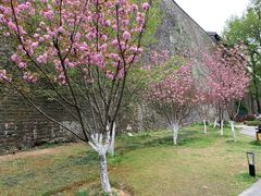 -UNI UNI(环亚凯瑟琳店)