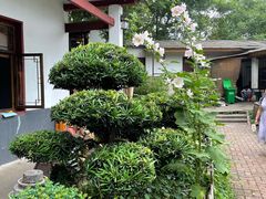 -花间酒庭院餐厅(谷山店)