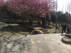 -太子山公园(园东路)