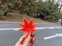 -沈阳植物园
