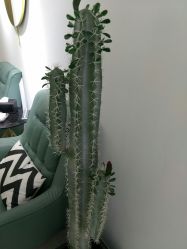 -发饰美男士增发补发假发定制店