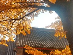 -红螺寺
