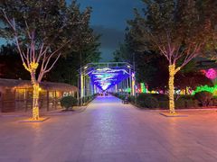 -南宫五洲植物乐园