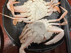 -亚特兰蒂斯-番红花海鲜自助餐厅·鲜活海鲜·小火锅