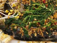 -黑猫馋纸包鱼(阳光店)